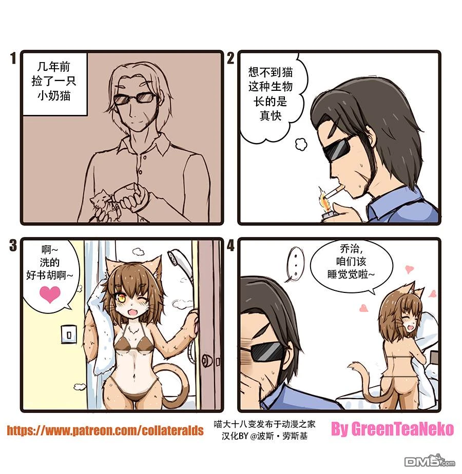 第3页