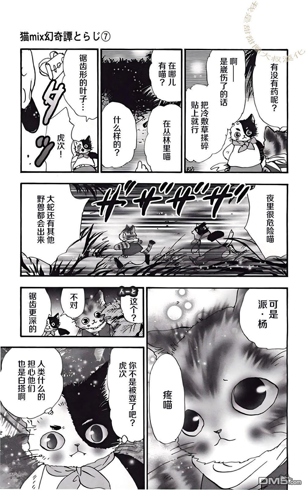 第51页