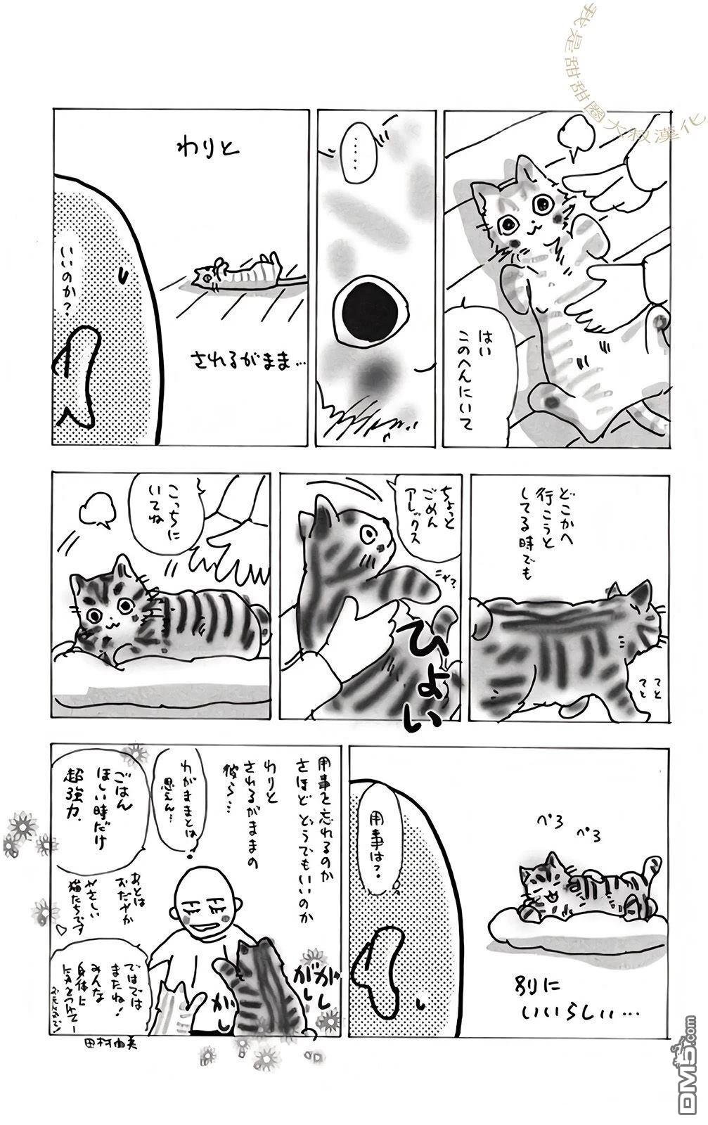 第62页
