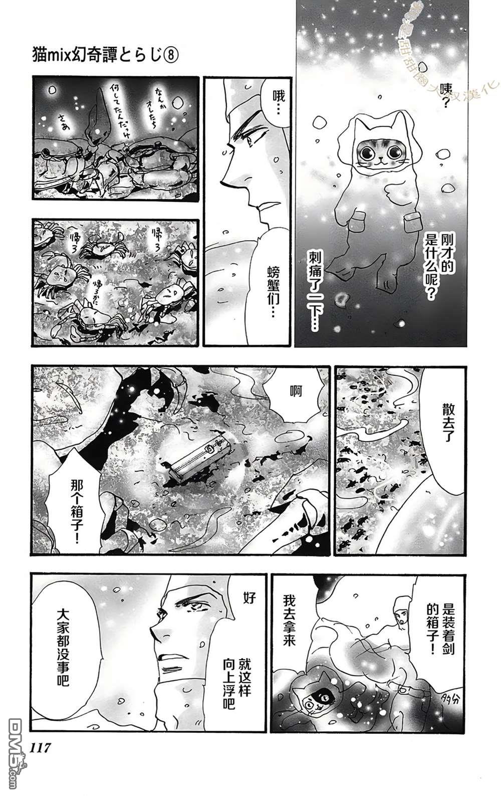 第51页