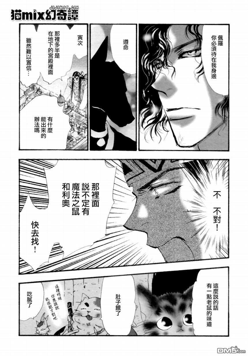 第44页
