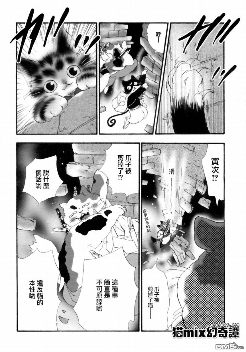 第56页