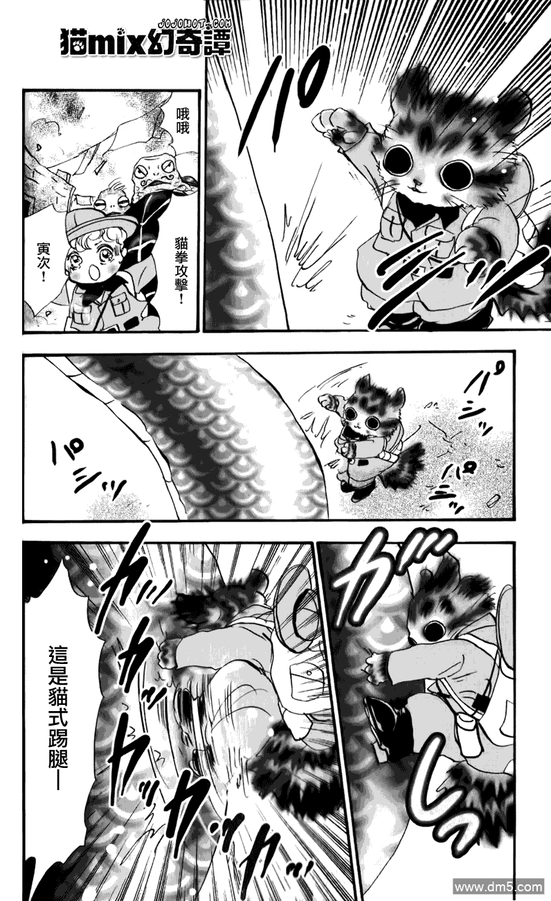 第49页