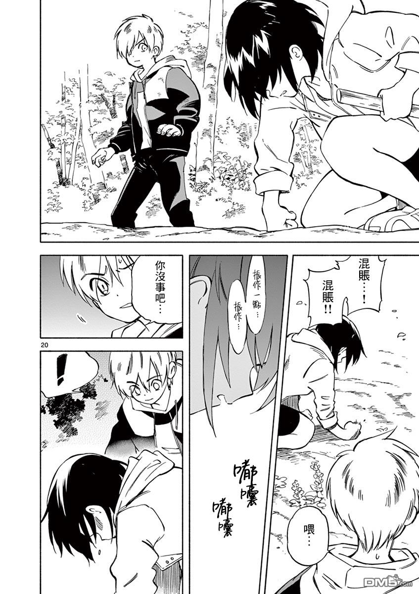 第20页