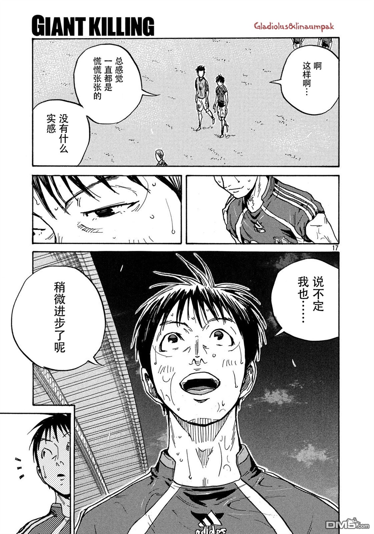 第17页