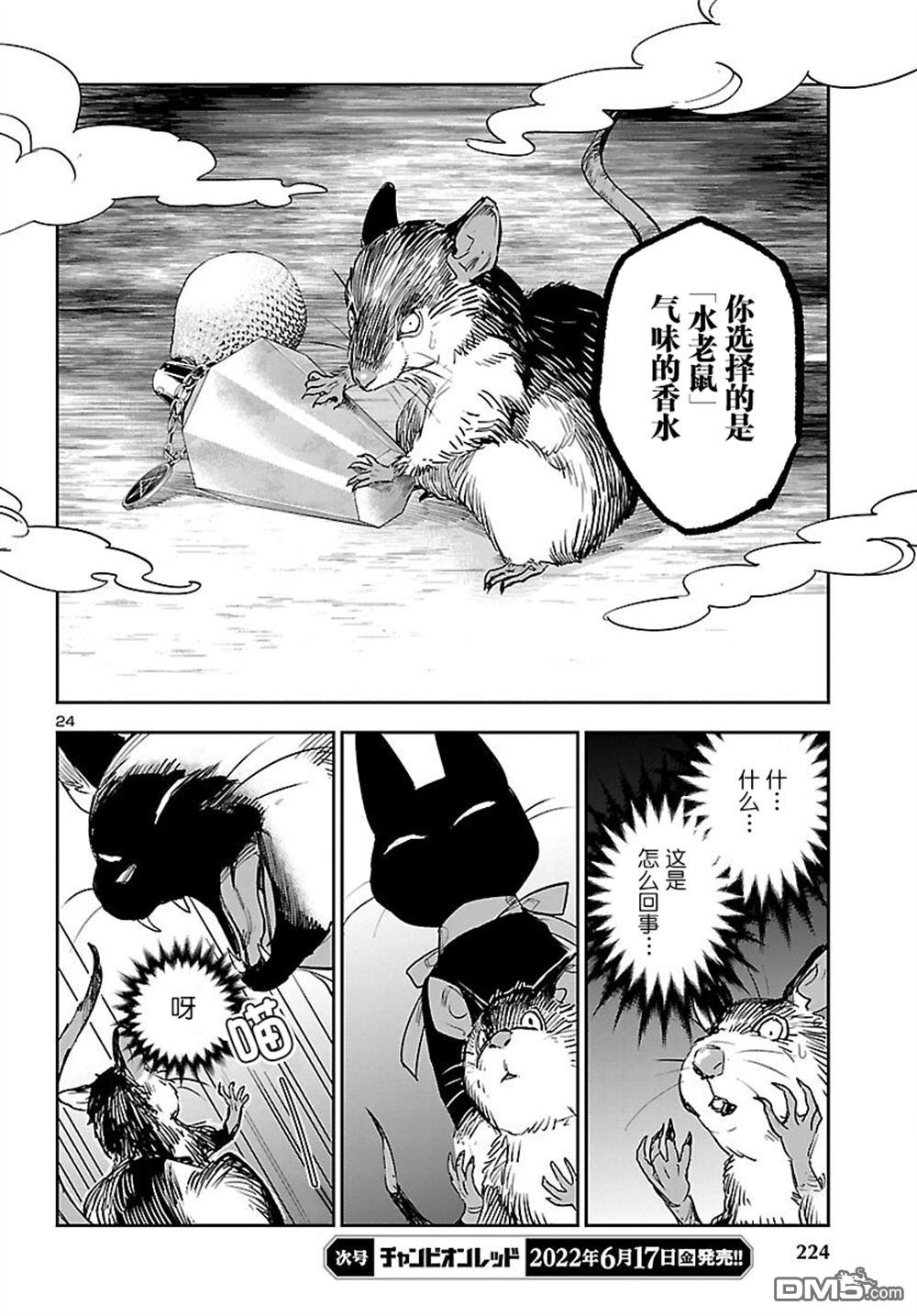 第24页