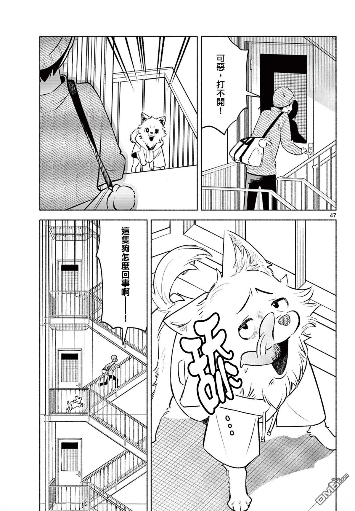 第46页