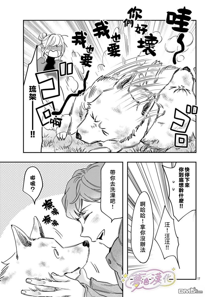 第17页