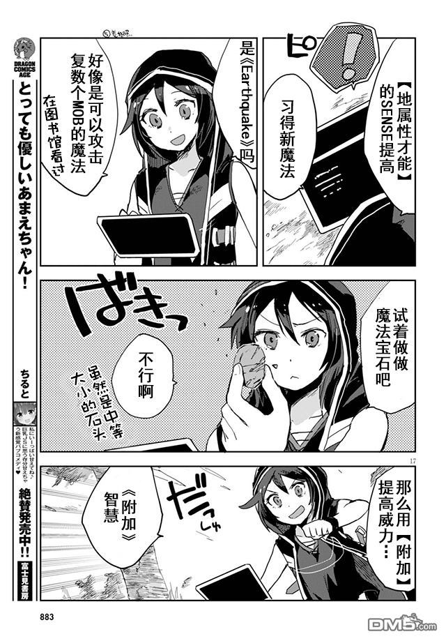 第17页
