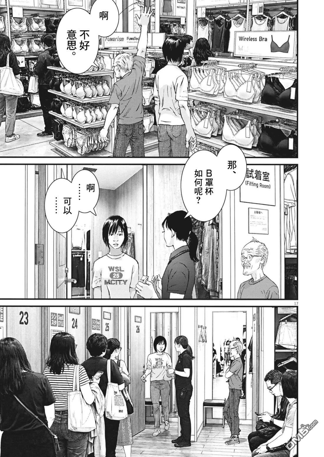 第17页