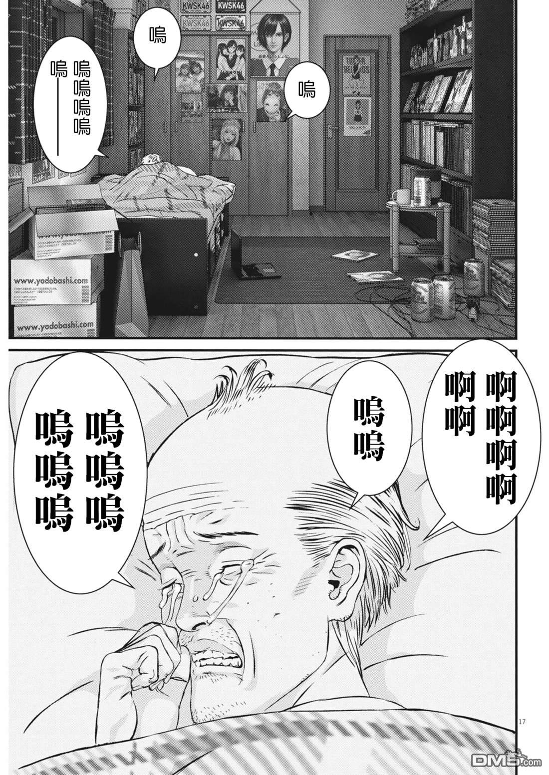 第17页
