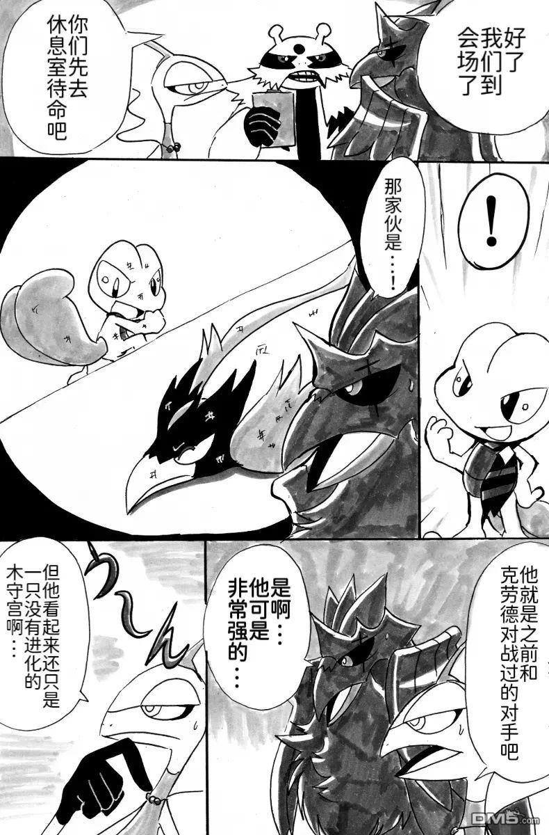 第13页