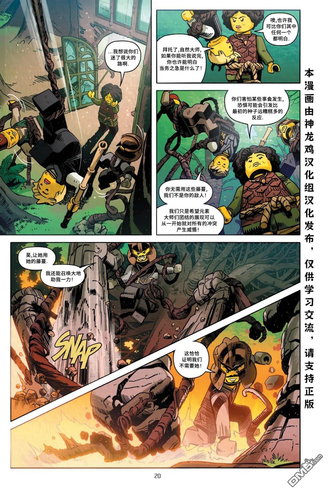 第20页