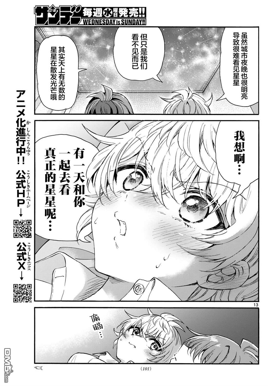 第13页