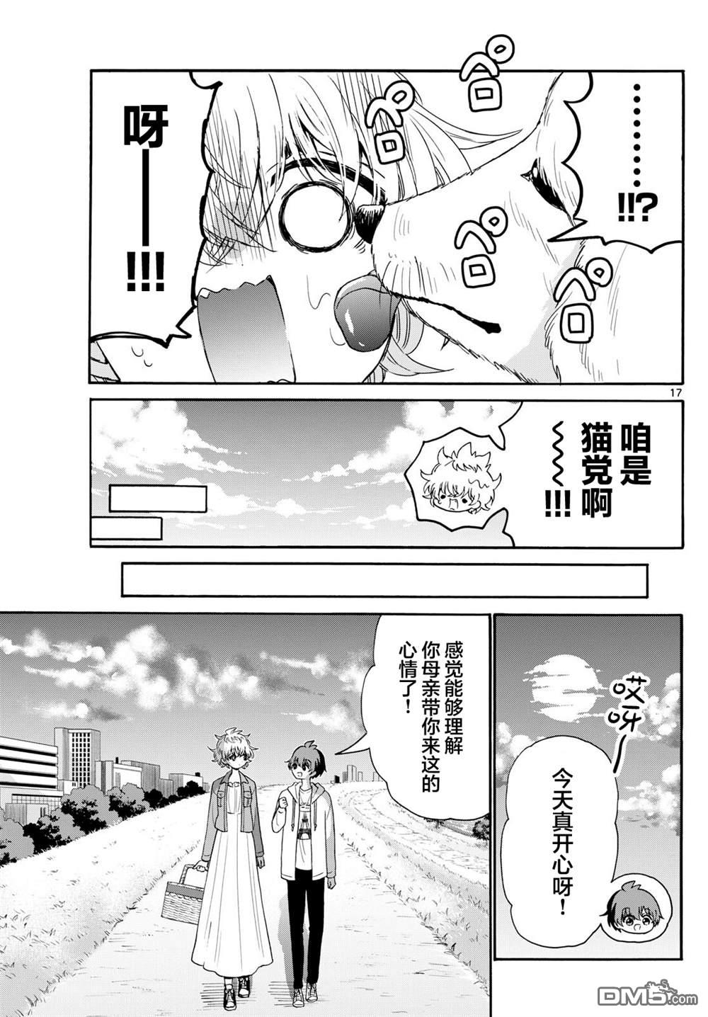 第17页