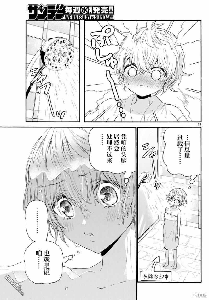 第17页