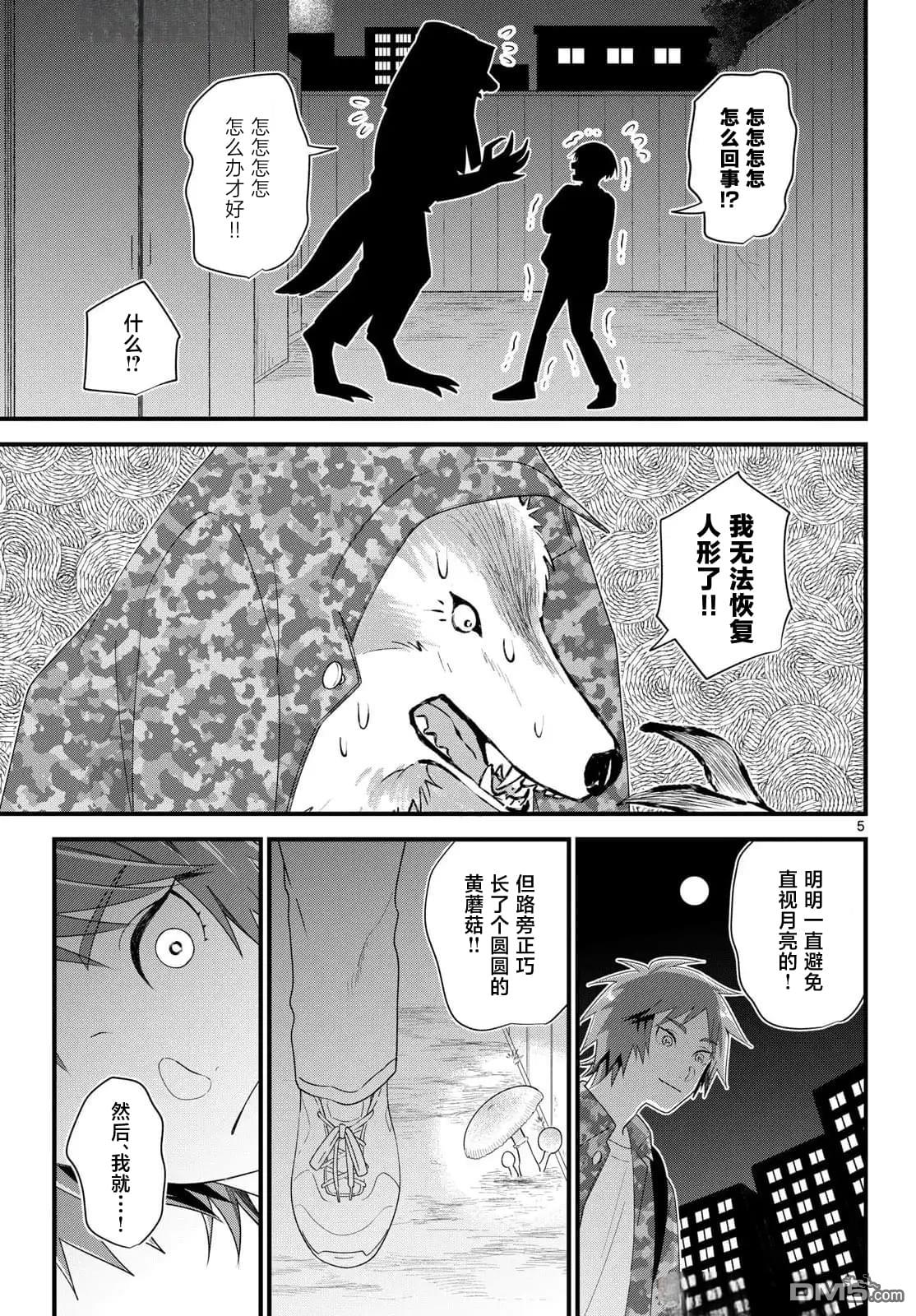 第5页
