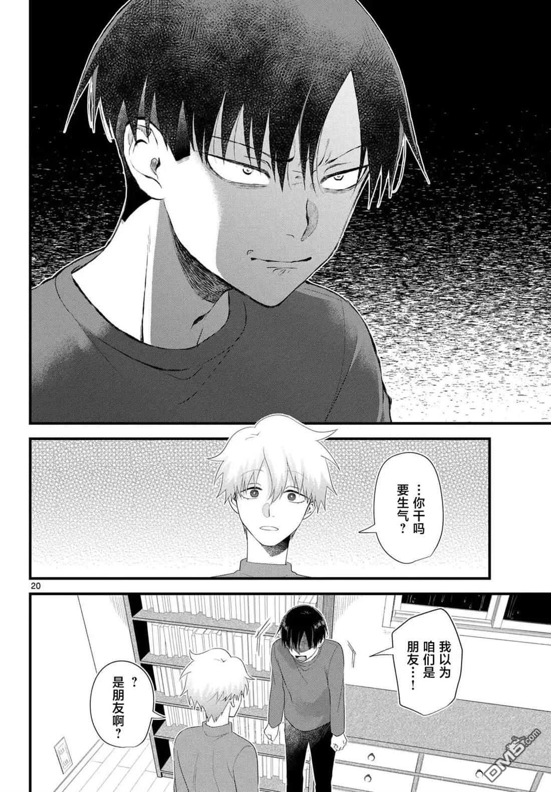 第20页