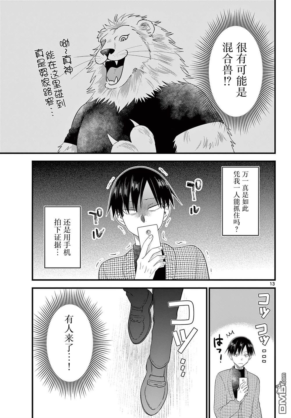第13页