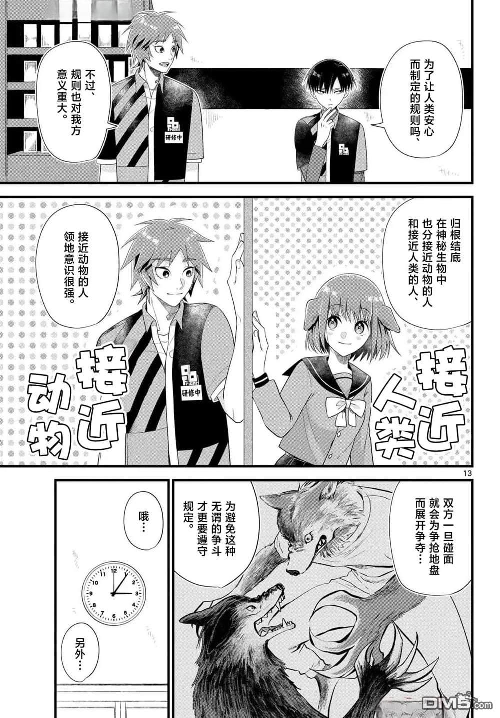第13页
