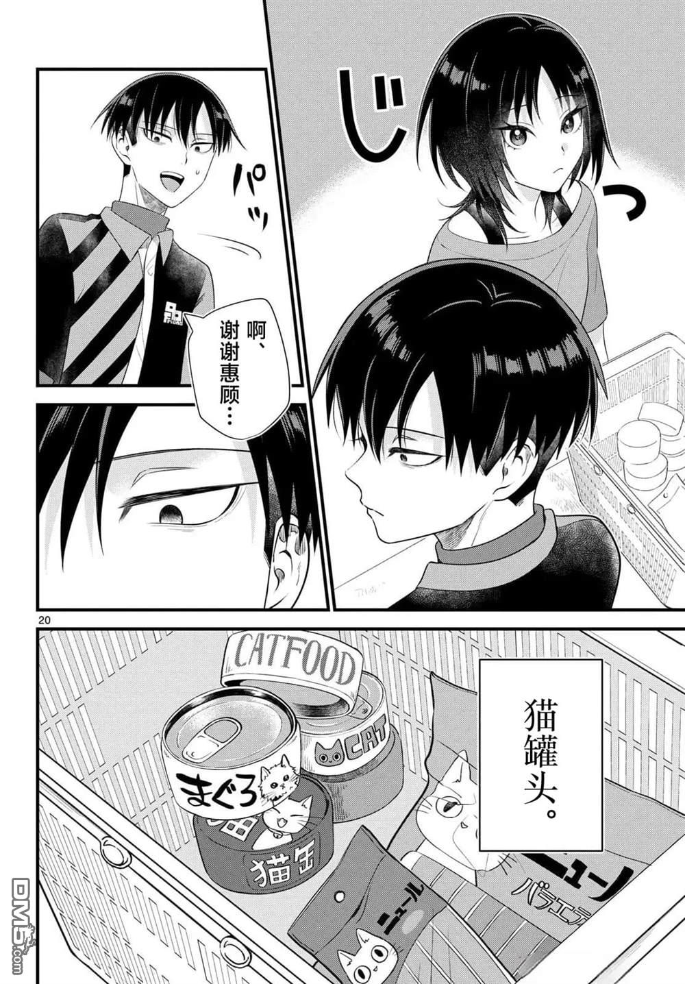 第20页