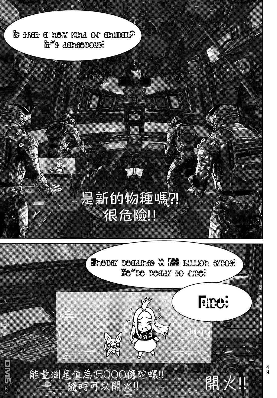 第43页