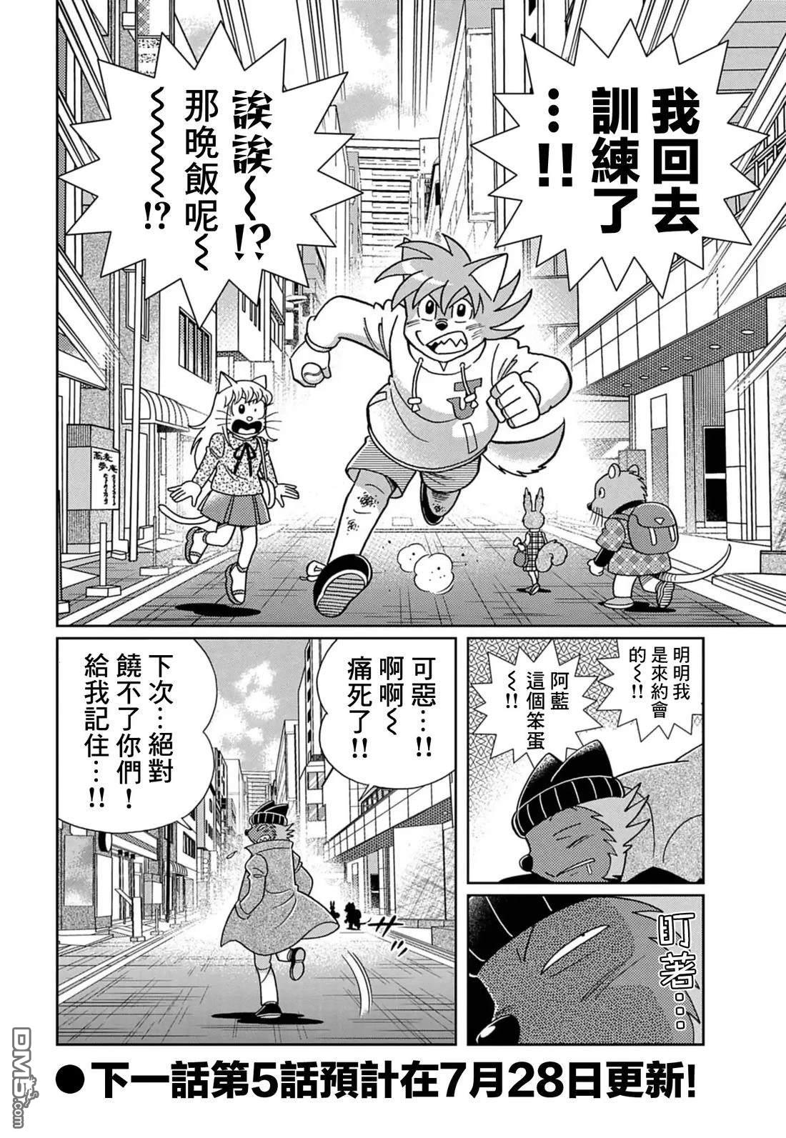 第17页