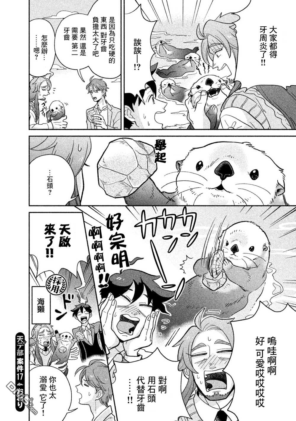 第17页