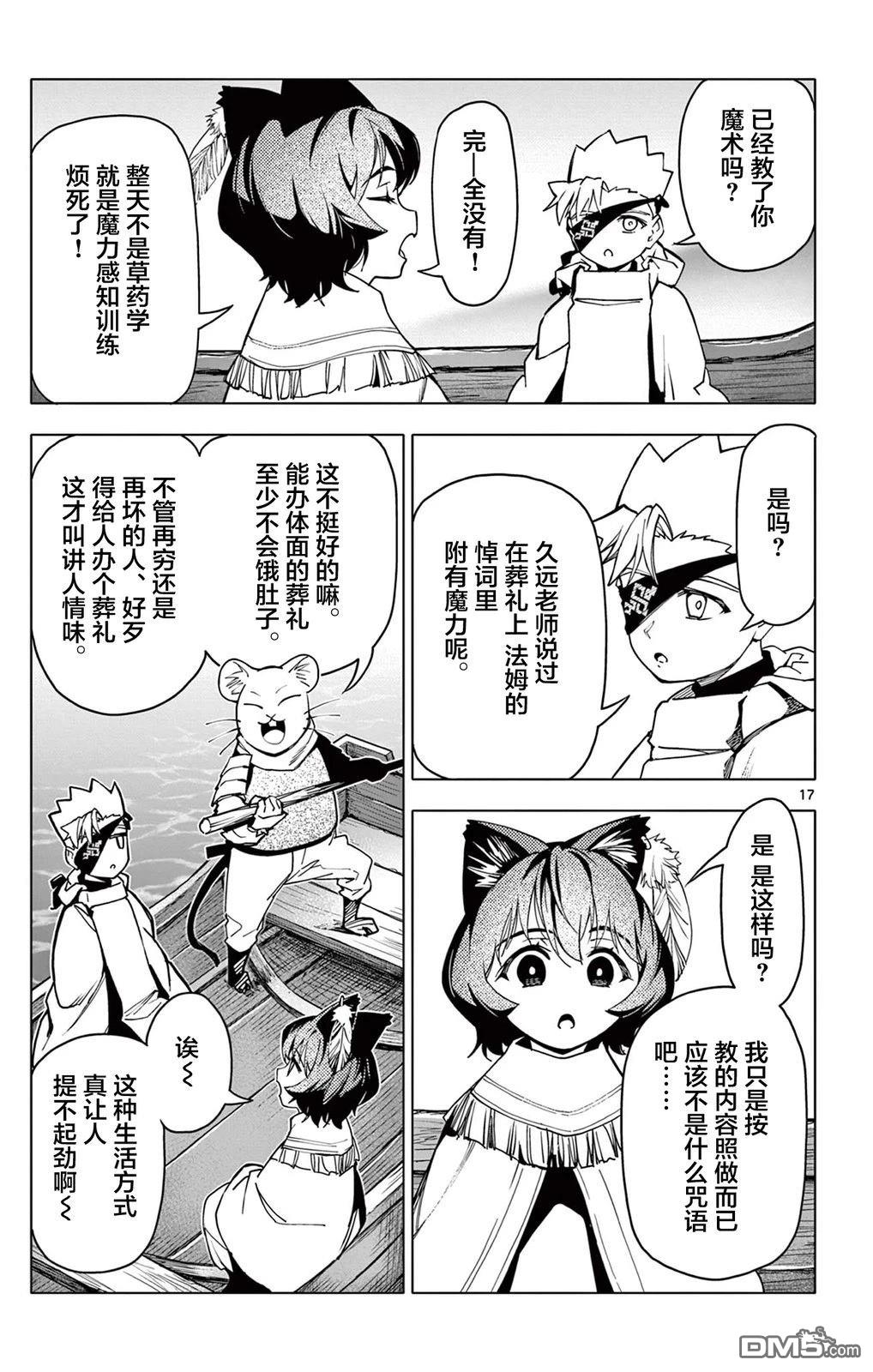 第17页