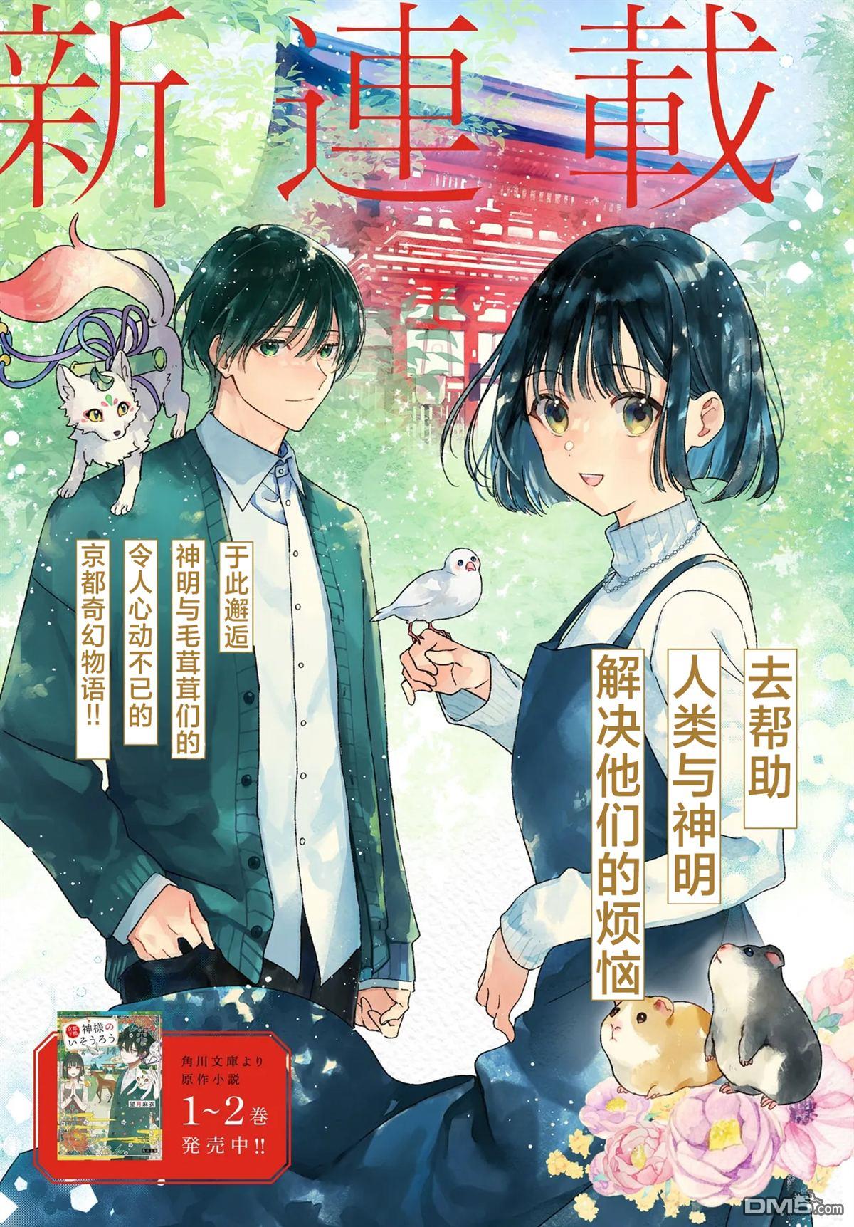 第3页