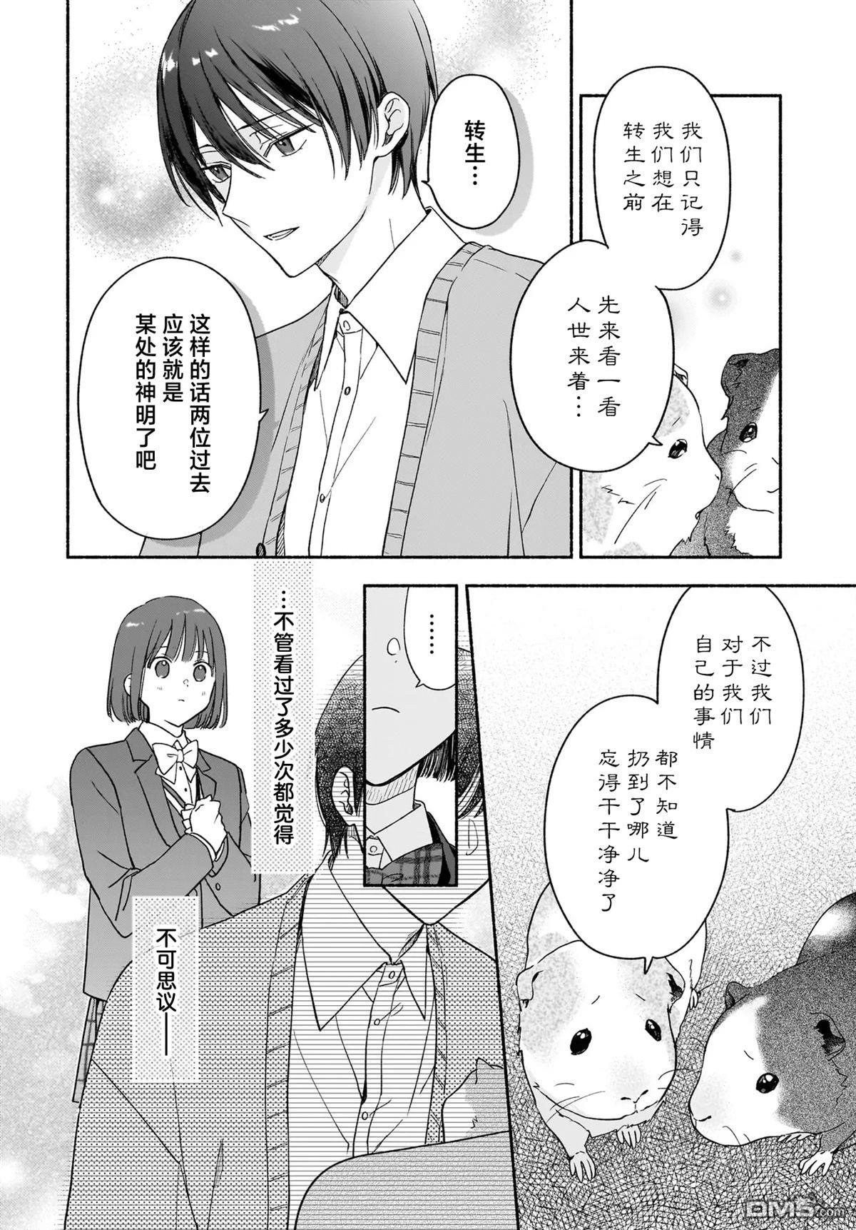 第38页