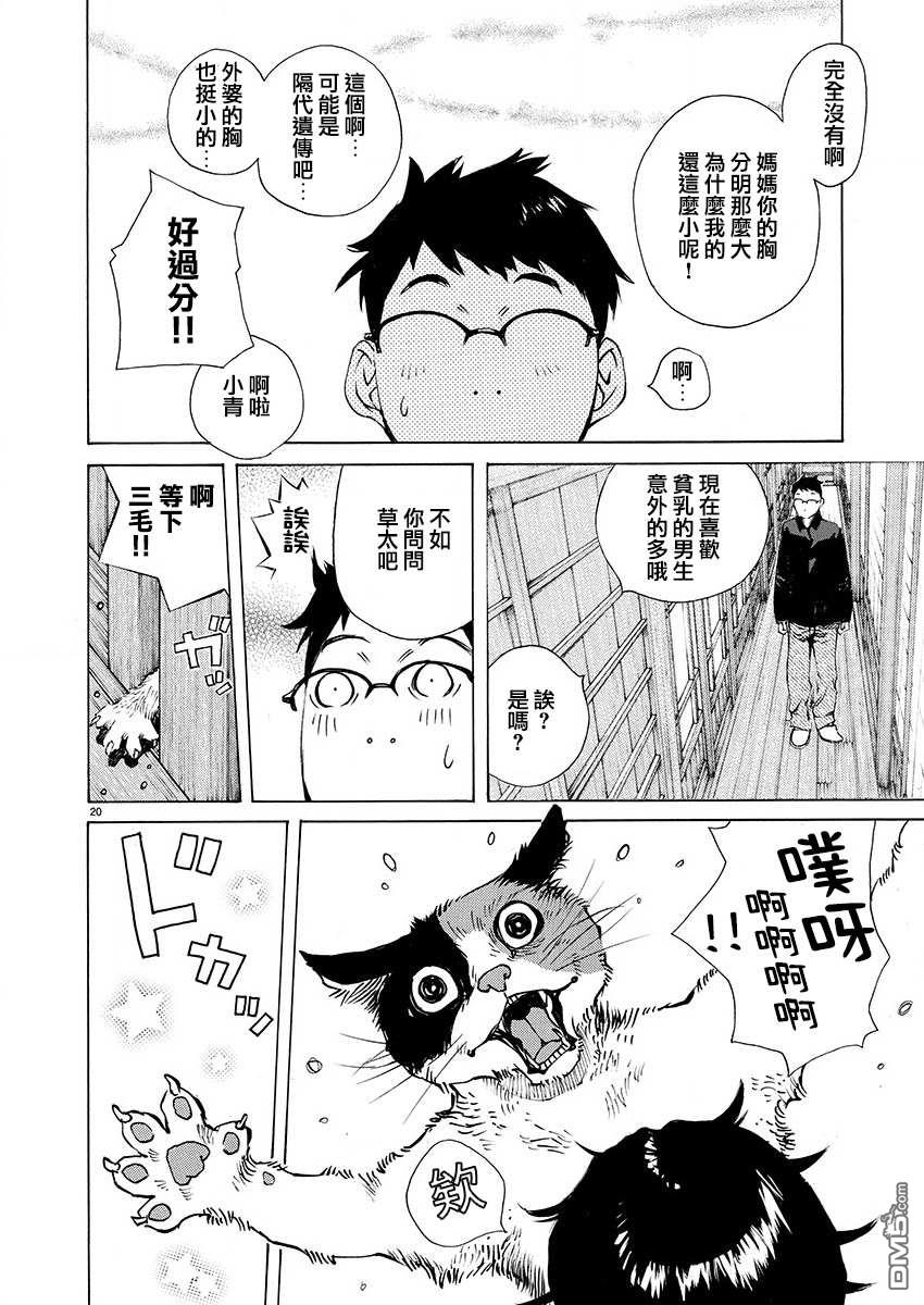 第20页