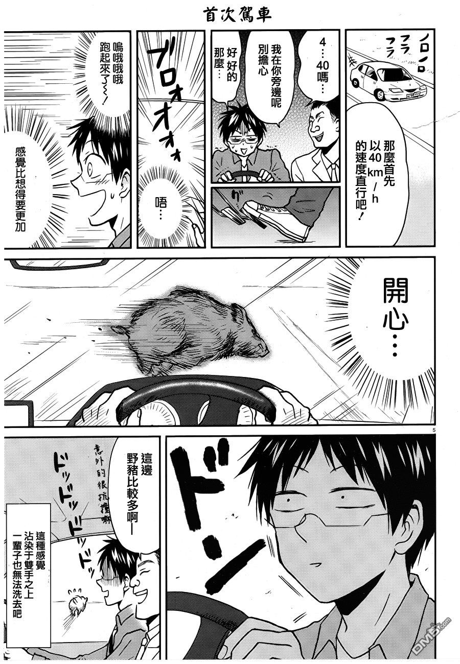 第5页