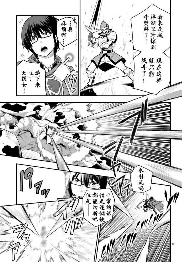 第17页