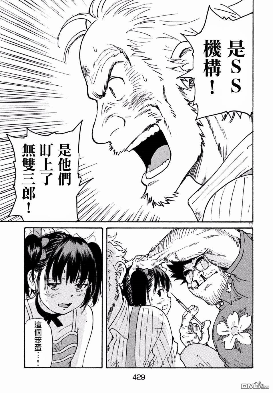 第17页