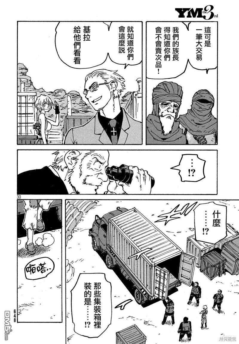 第30页