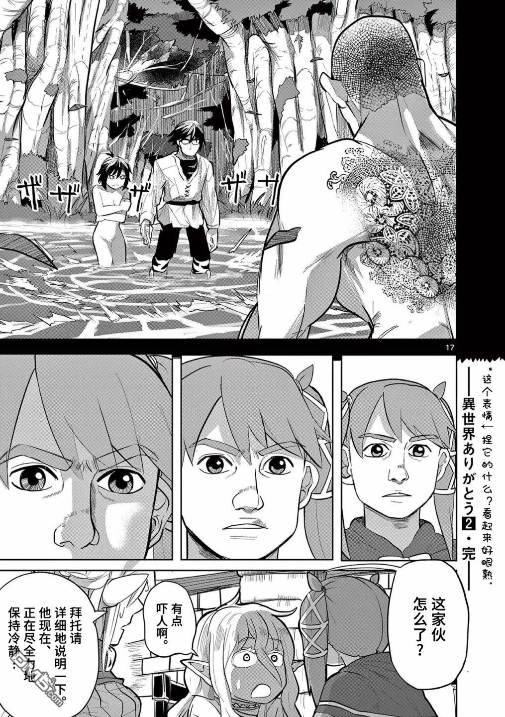 第17页
