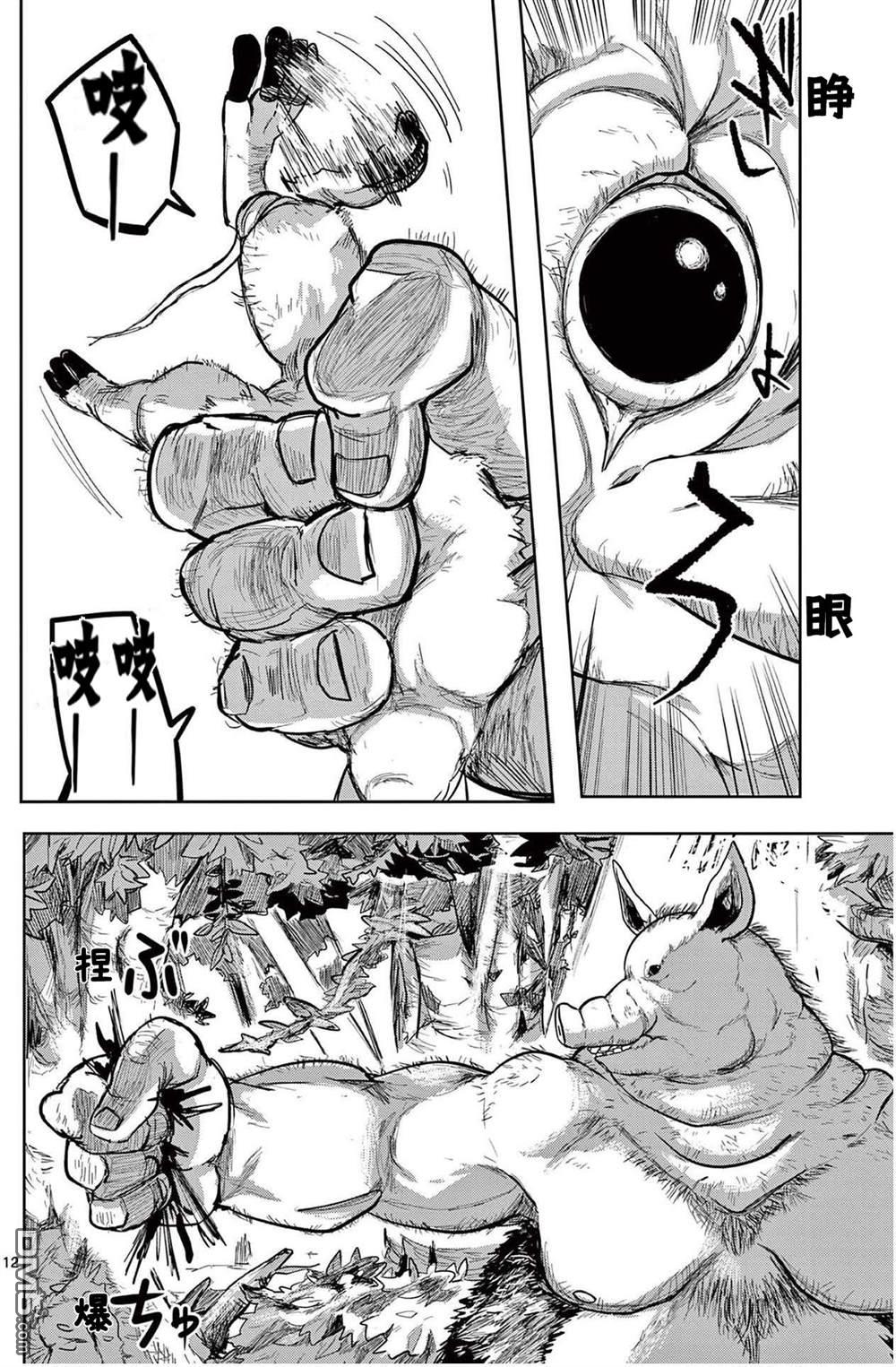 第12页