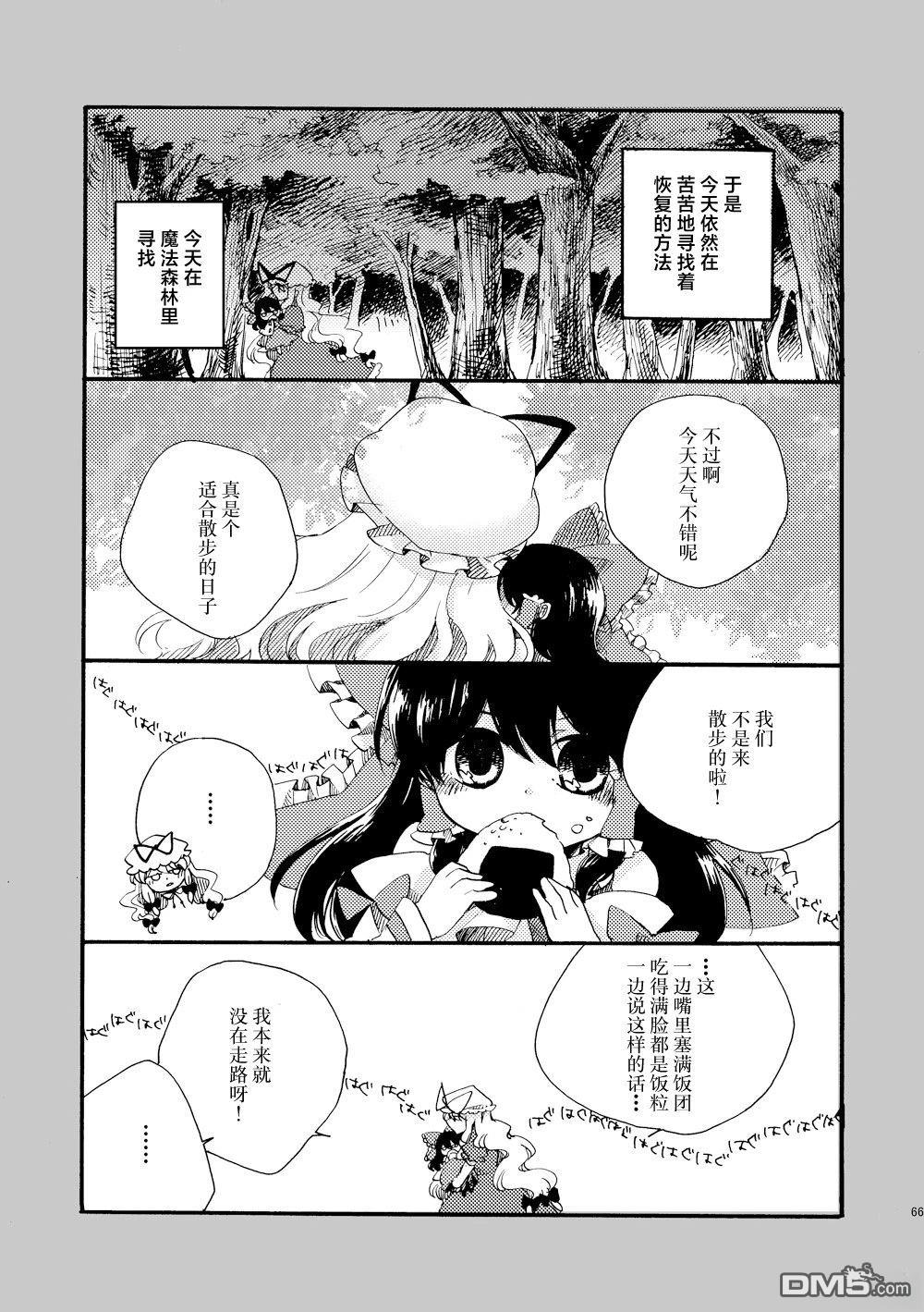 第66页