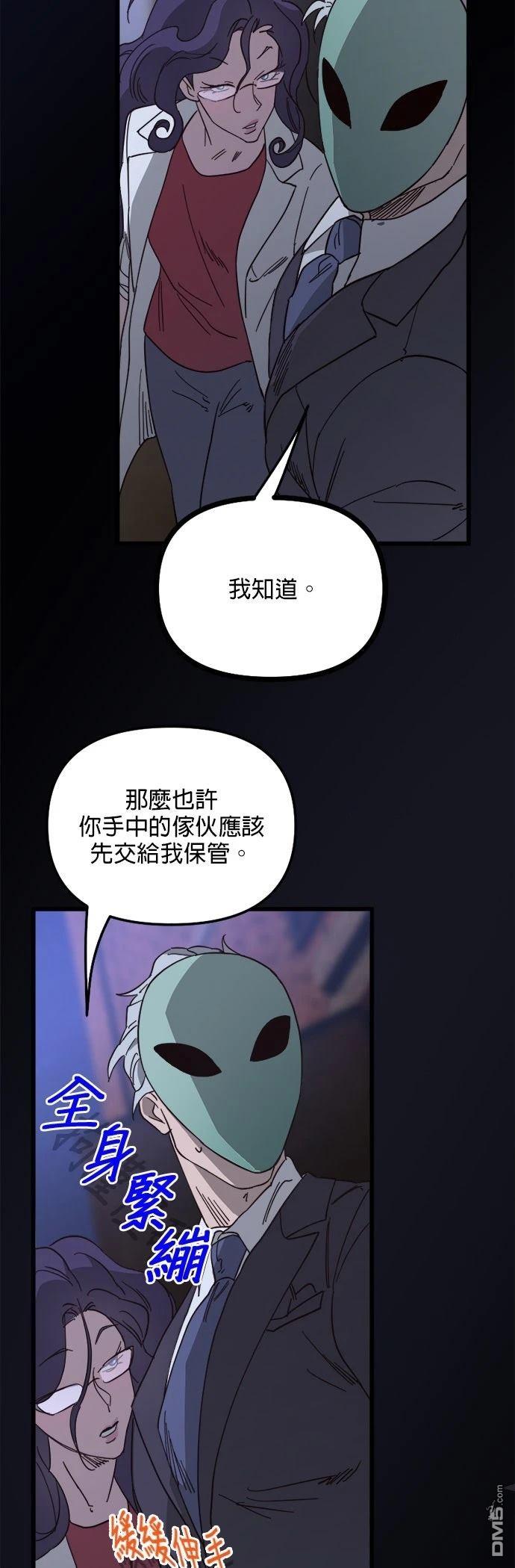 第48页