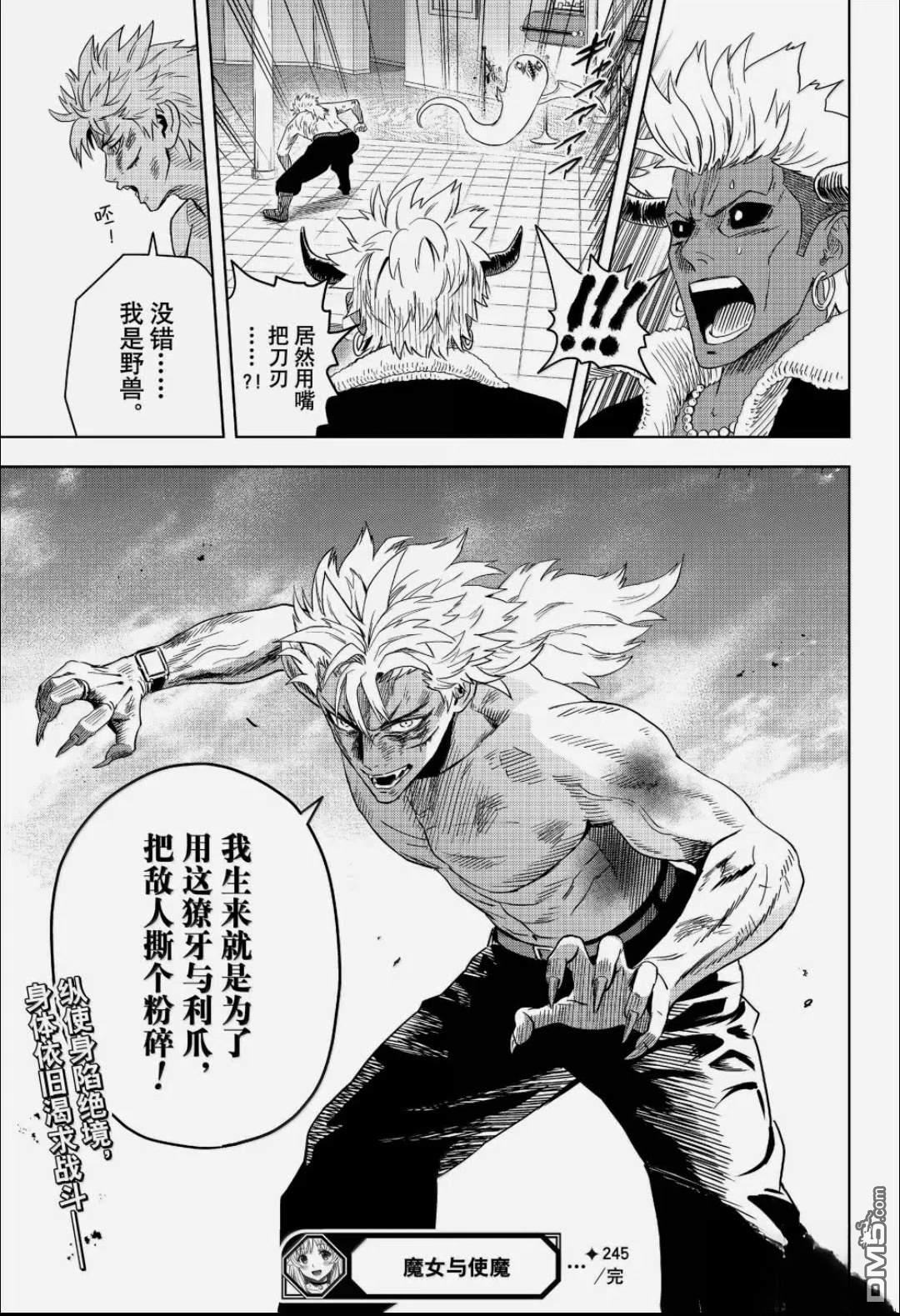魔女与使魔 第245话 第17页