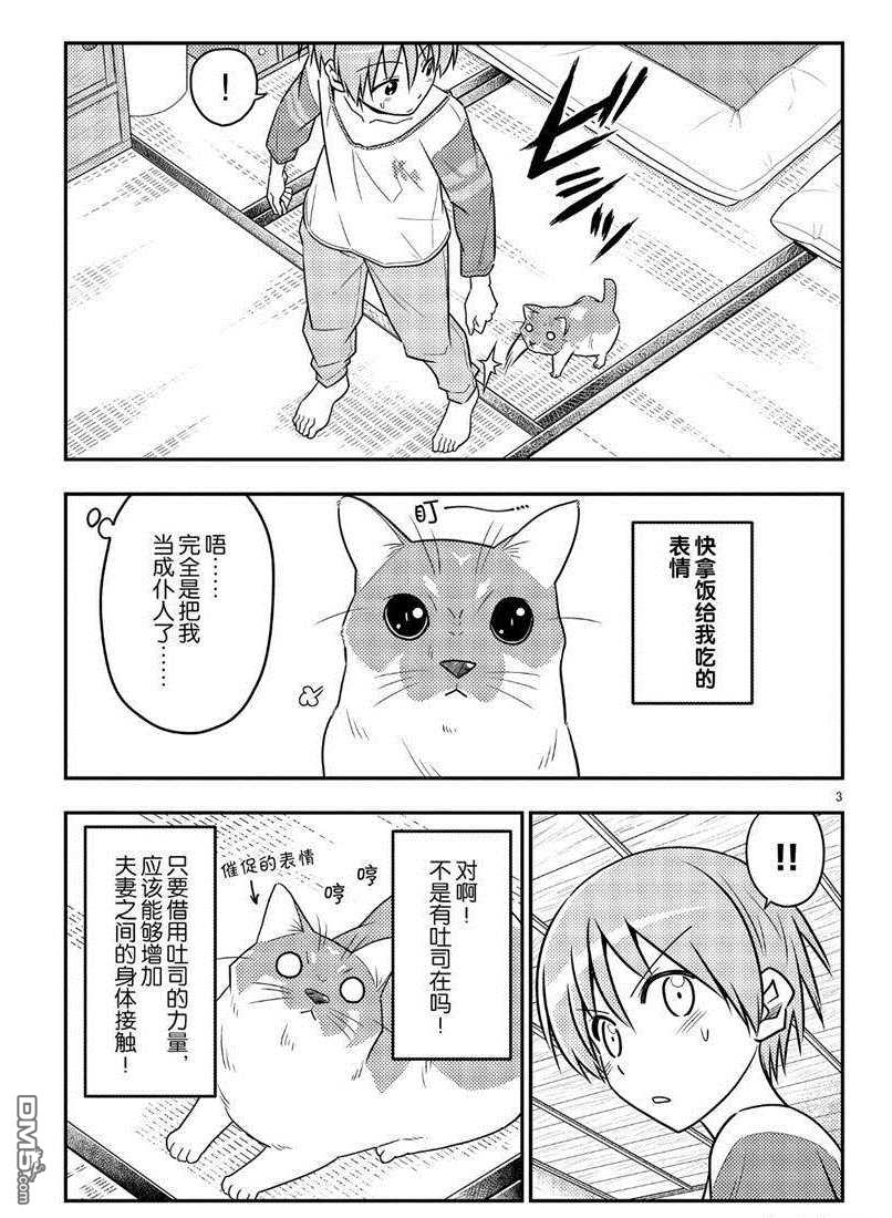 总之就是非常可爱 fly me to the moon 第53话 试看版 第3页