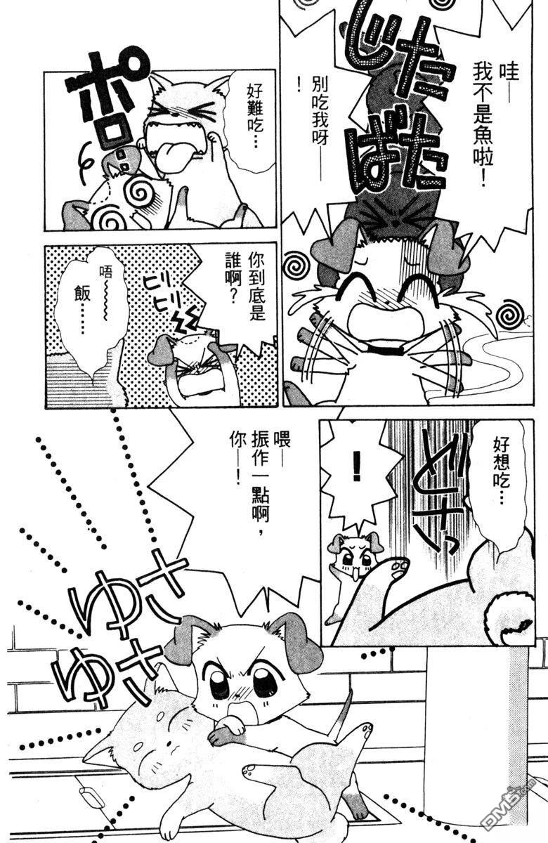 狗狗的小镇日记 第1卷 第10页