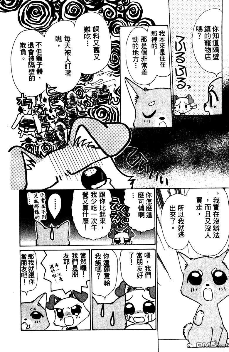 狗狗的小镇日记 第1卷 第12页