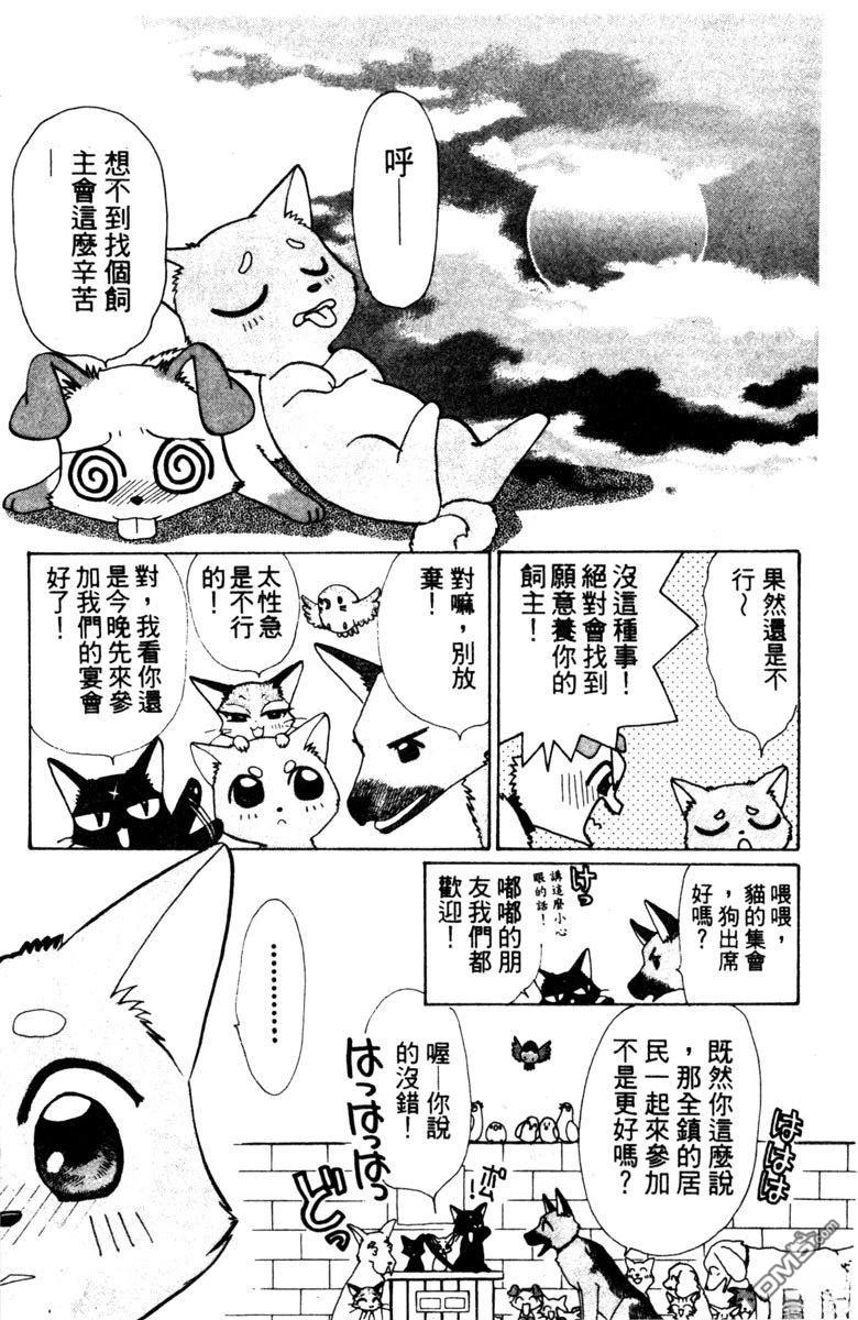 狗狗的小镇日记 第1卷 第15页