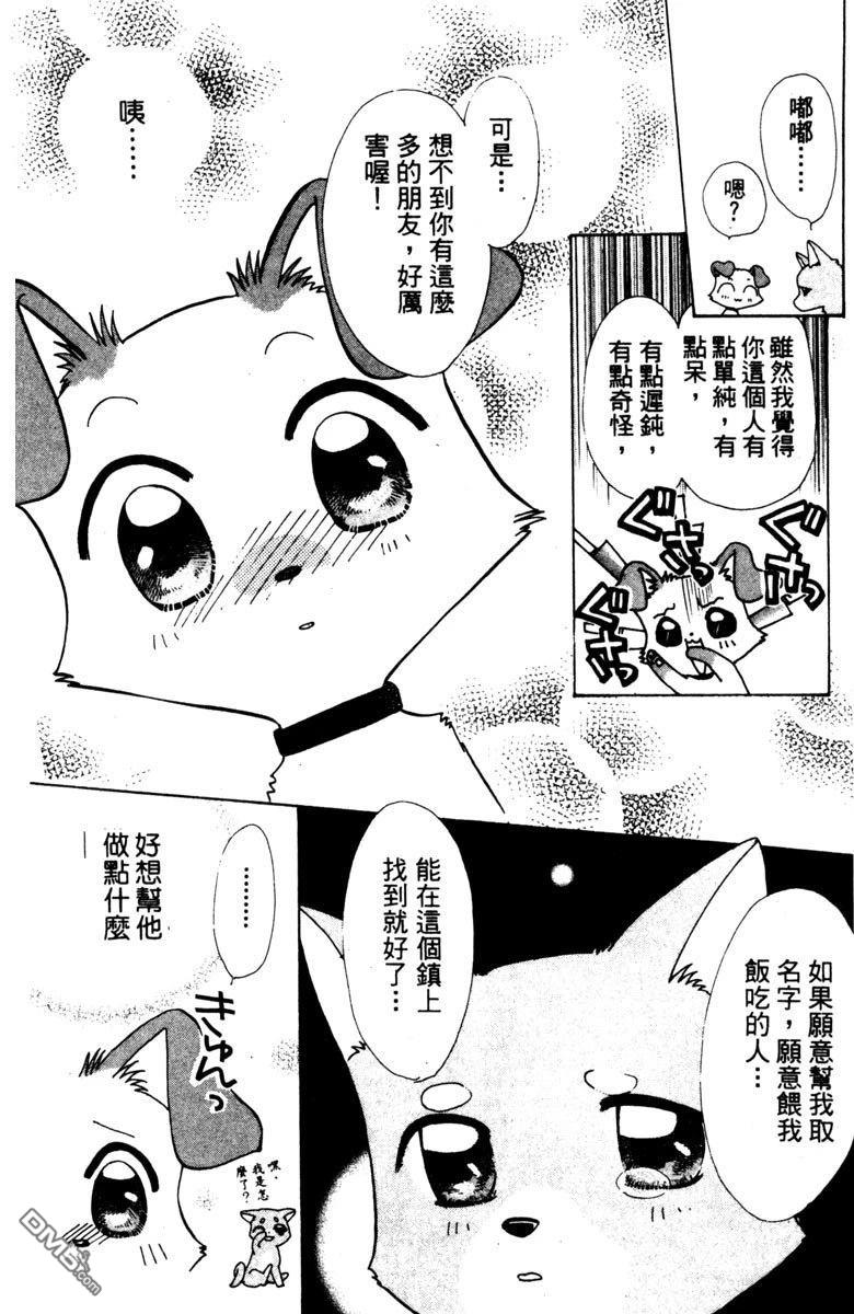 狗狗的小镇日记 第1卷 第16页