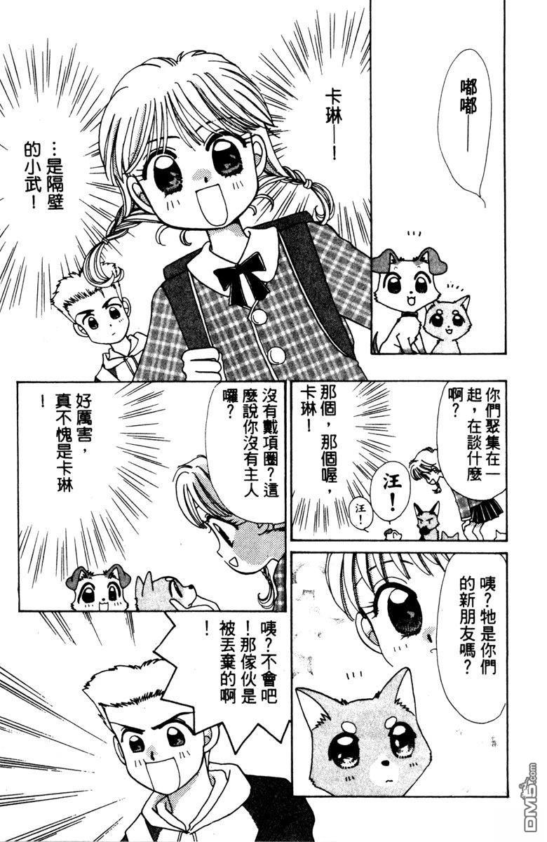 狗狗的小镇日记 第1卷 第17页