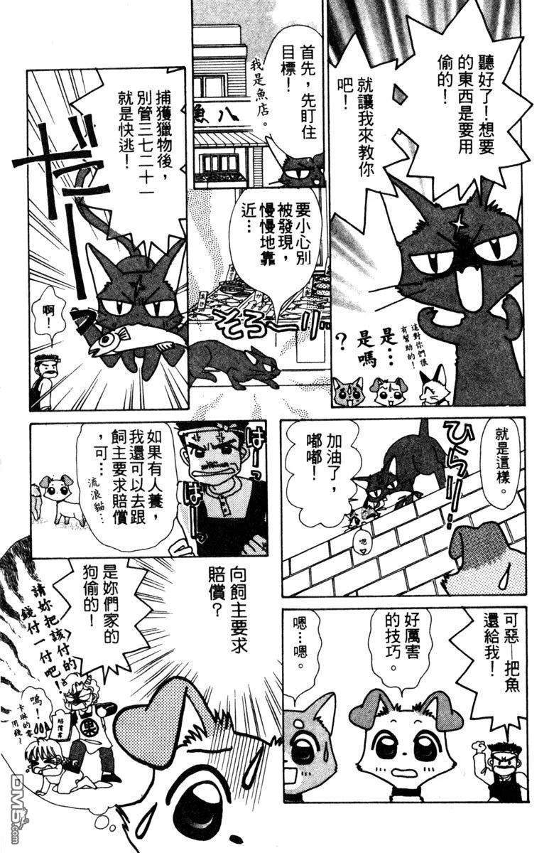 狗狗的小镇日记 第1卷 第31页