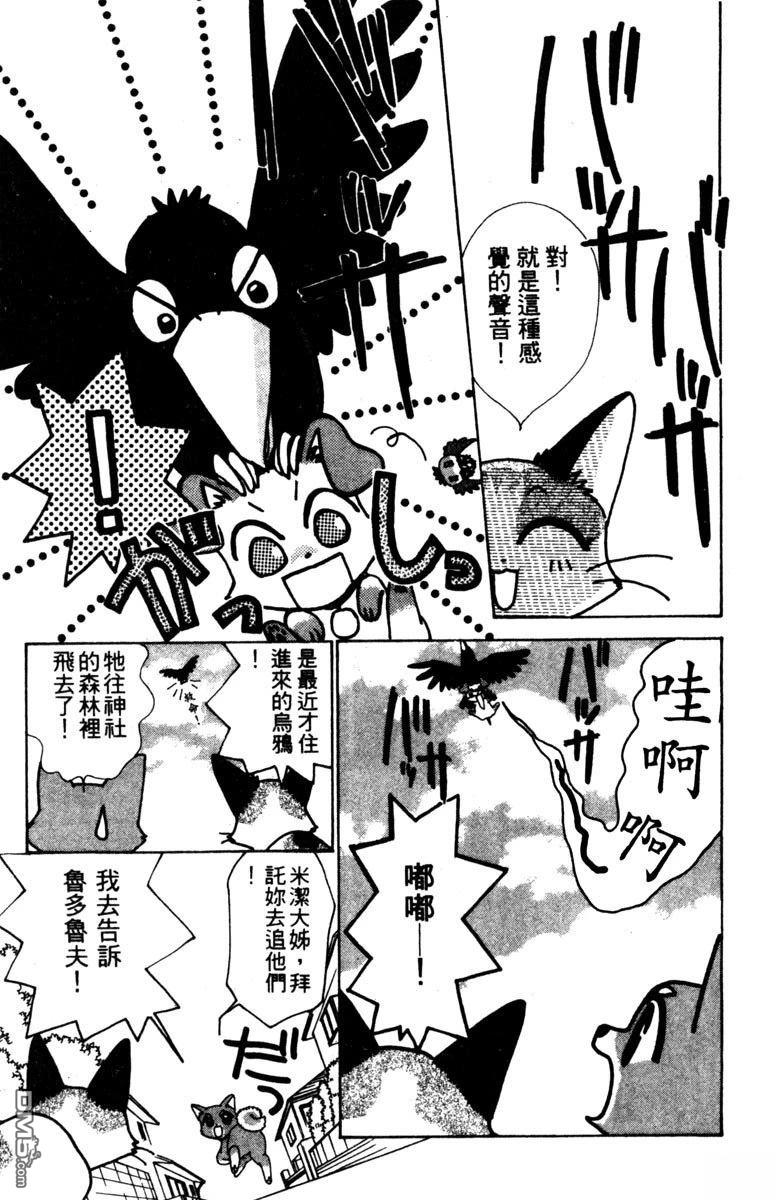 狗狗的小镇日记 第1卷 第47页