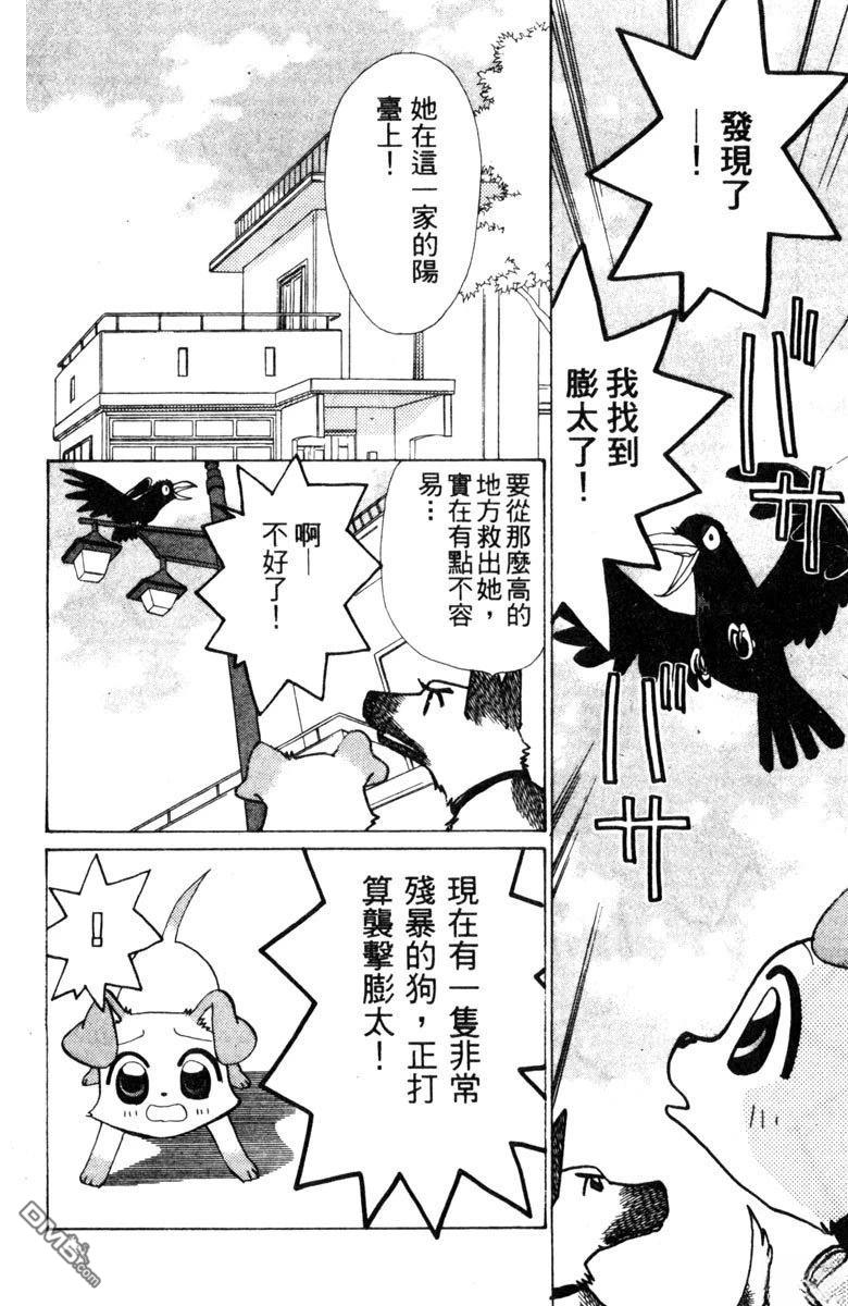 狗狗的小镇日记 第1卷 第62页